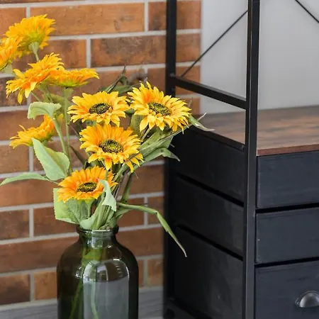 Family 62m - Sowia With Garage & Balcony By Renters Apartment Posen