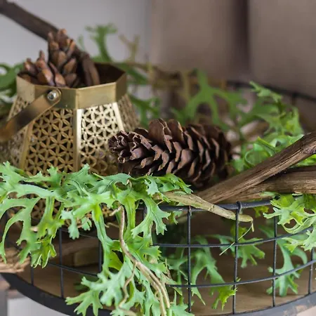 Family 62m - Sowia With Garage & Balcony By Renters * Posen