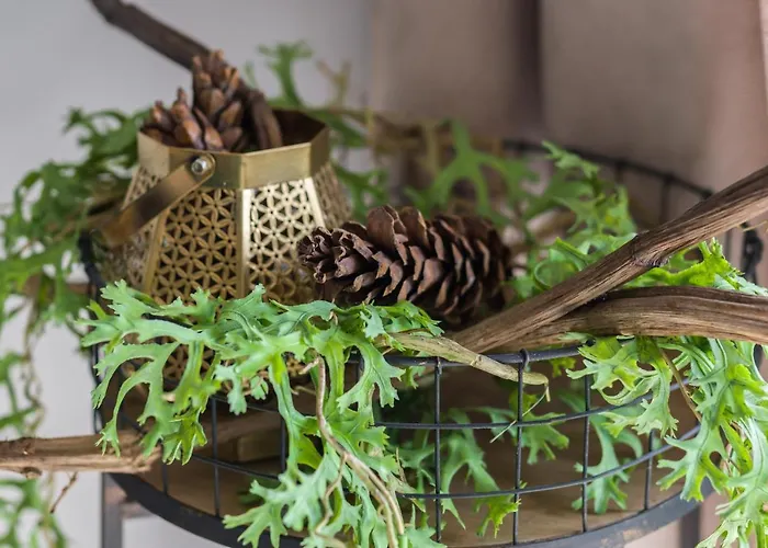 Family 62m - Sowia With Garage & Balcony By Renters * Poznan